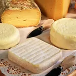 Gospodarstwo wiejskie Amalia Cascina In Langa Monforte dʼAlba